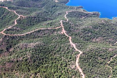 Muğla'da orman yangınlarına karşı önlemler artırılıyor