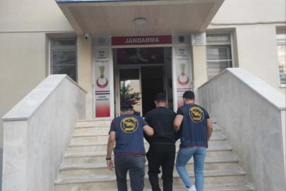 Muğla’da uyuşturucu operasyonlarında 6 tutuklama