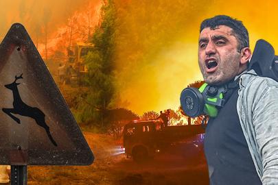 73 orman yangınına soruşturma. 12 tutuklama