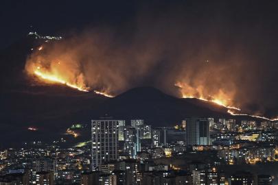 Ankara'da ağaçlık alanda yangın. Bir kişi gözaltına alındı