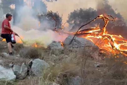 Antalya'da orman yangını. Yangın tüplerini eşekle taşıdılar