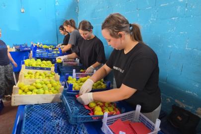 Hasatla birlikte sofraya yolculuk başladı. En önemli geçim kapısı