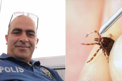 Kene bir can daha aldı