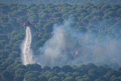 Son bir haftada çıkan yangınlarla ilgili 2 kişi tutuklandı